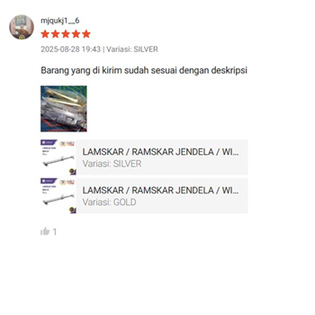 Customer Review 2