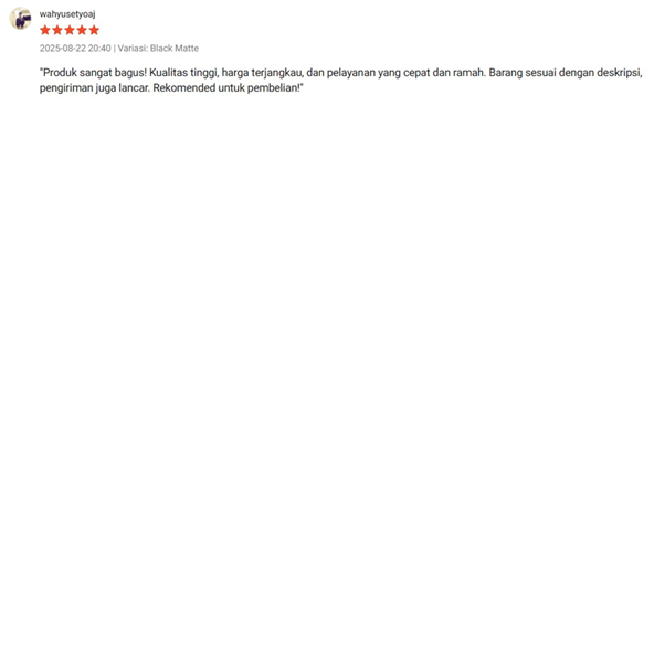 Customer Review 2