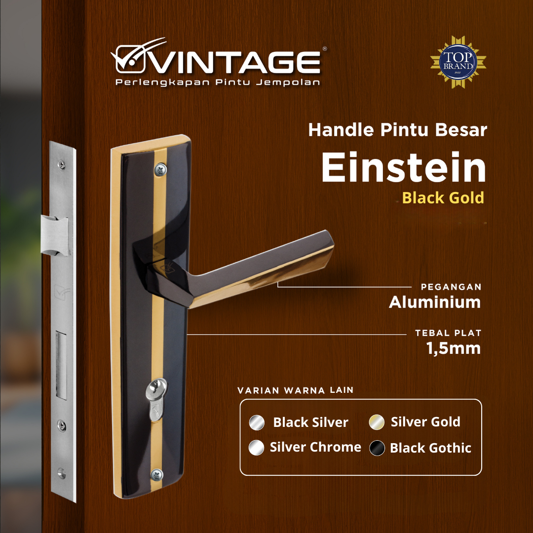 HANDLE PINTU RUMAH BESAR VINTAGE EINSTEIN