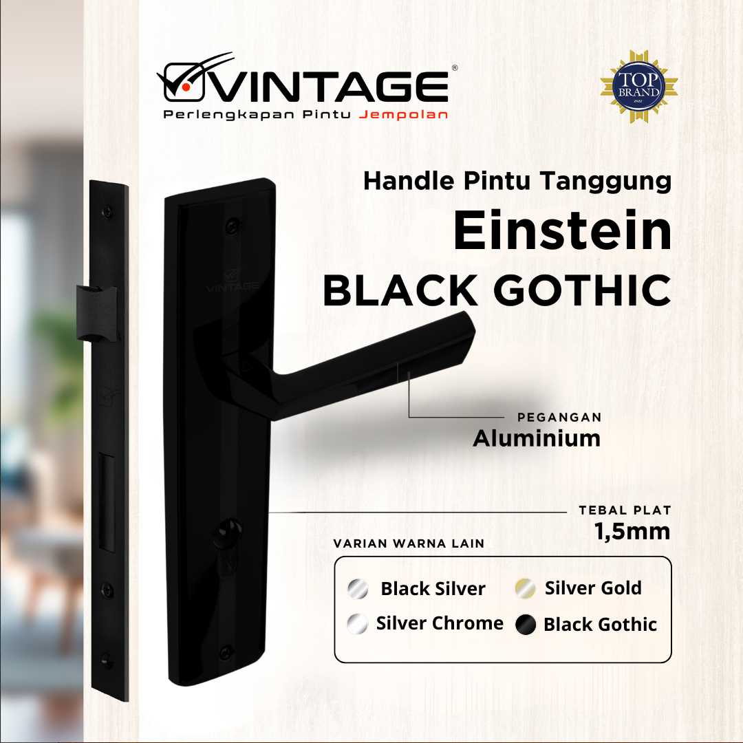 HANDLE PINTU RUMAH BESAR VINTAGE EINSTEIN